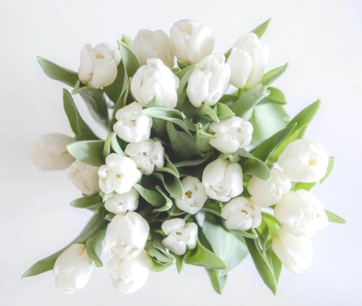 Seasonal floral arrangement showcasing natural winter blooms