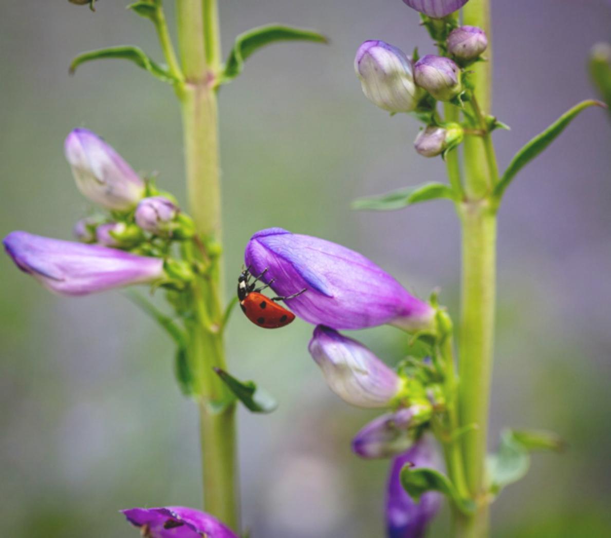 Workshop space showing seasonal preparation work